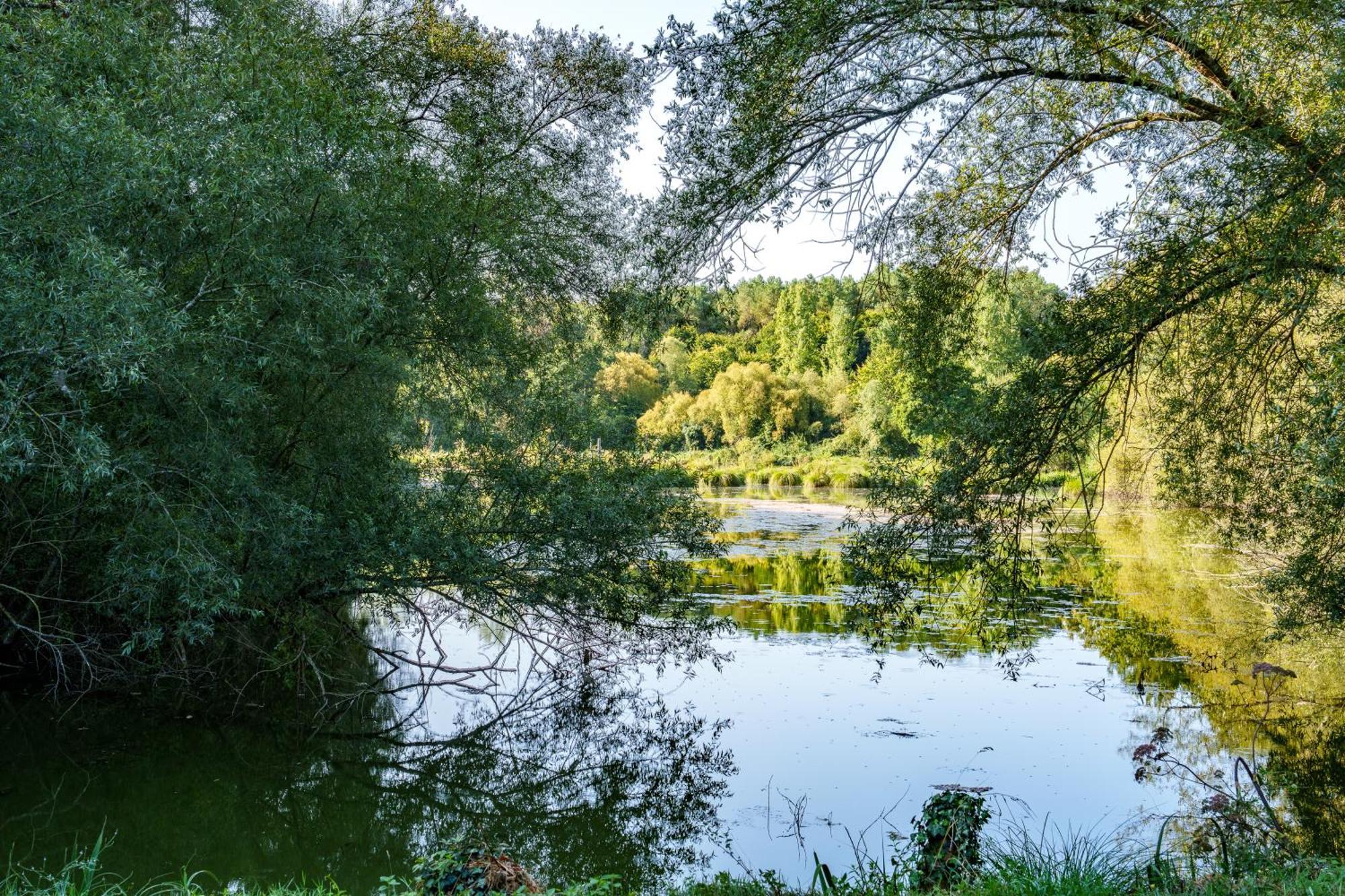 La Cabane Du Pont Du Douet Mazières-de-Touraine Eksteriør billede